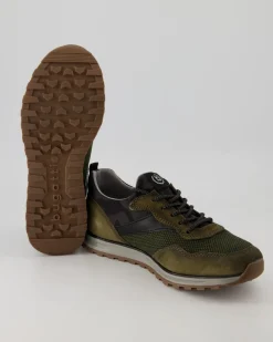 Cirino Sneaker in Grün