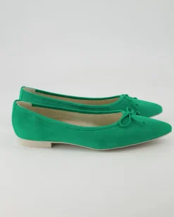 2950-113 Ballerinas in Grün