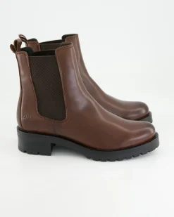 8174 Chelsea Boots in Braun