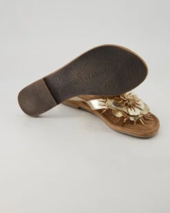 33.518 Pantoletten in Gold