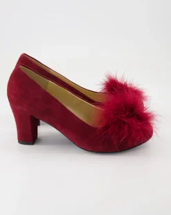 30090000/852 Pumps in Rot