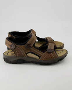3641122 Sandalen in Braun