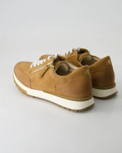 5310 Schnürschuhe in Braun