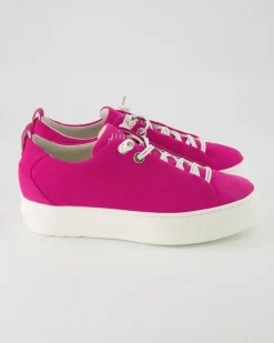 5017-203 Schnürschuhe in Pink