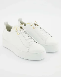 5017-008 Schnürschuhe in Weiß