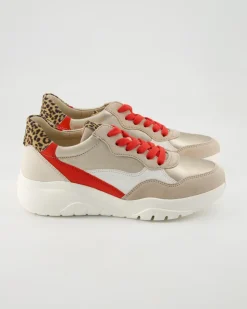 63.451.13 Sneaker in Beige