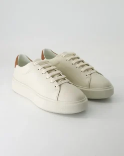 8881-01 Sneaker in Beige