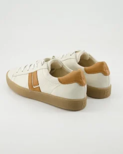 5464 Sneaker in Beige