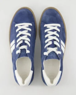 5464 Sneaker in Blau