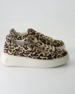 66.488.90 Sneaker in Braun