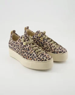 5317 Sneaker in Braun