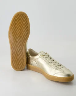 6616 Sneaker in Gold