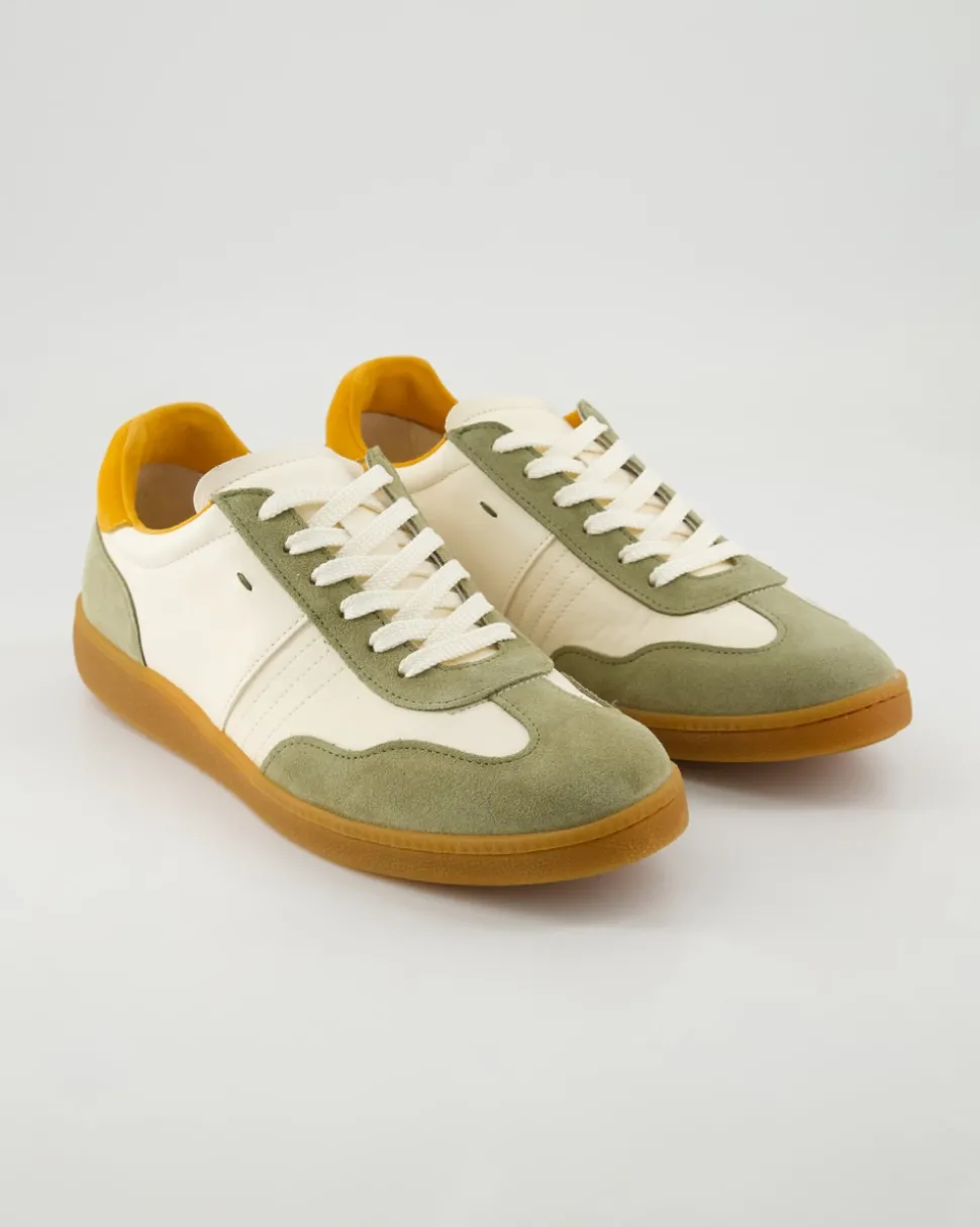 15531 Sneaker in Grün