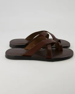 5003 Zehentrenner in Braun