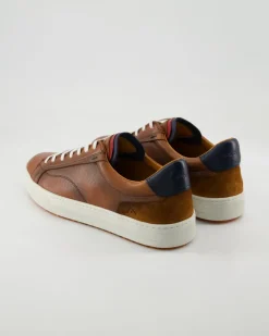 Anopolis Sneaker in Braun