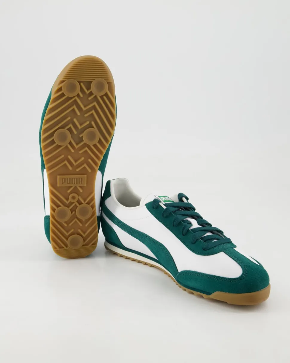 Arizona Retro Sneaker in Grün