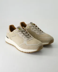 Bamberg Sneaker in Beige