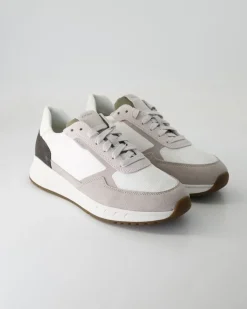 Branthon Sneaker in Beige
