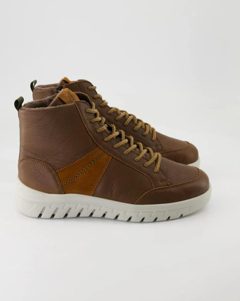 Bruno Stiefeletten in Braun