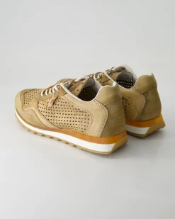 C848 Sneaker in Braun