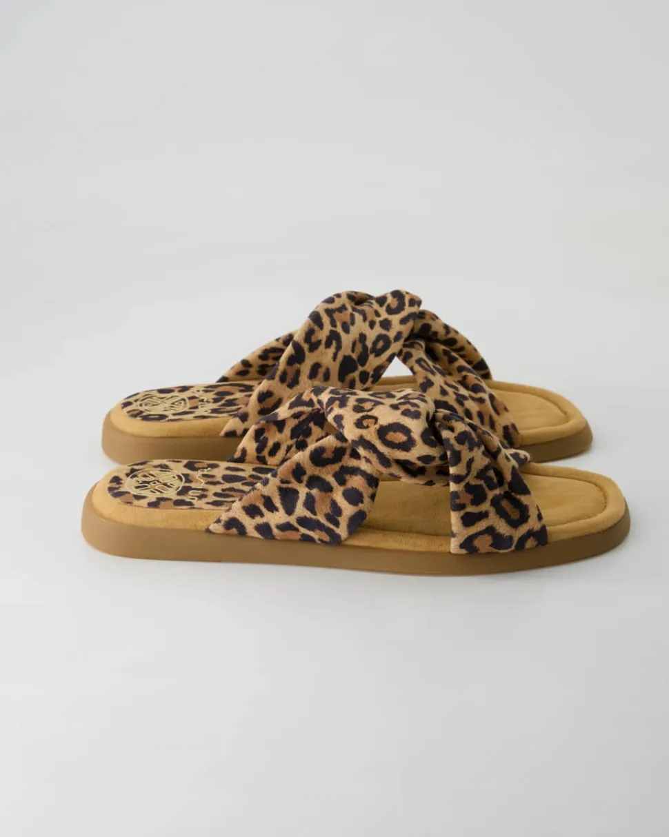 Camby Pantoletten in Braun