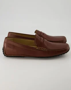 Carulio-708 Mokassins in Braun