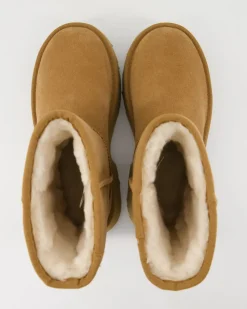 Classic Short New High Stiefeletten in Beige