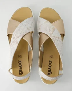 DCD 76657 Sandalen in Bronze