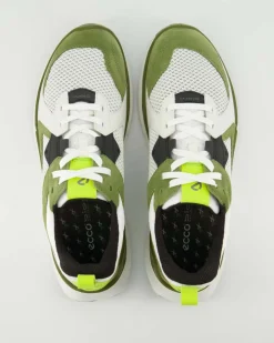 ECCO BIOM 2.2 M Sneaker in Grün