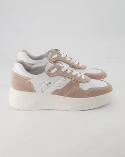 E306564D Sneaker in Rosa