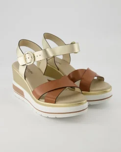E218737D-329 Wedges in Gold