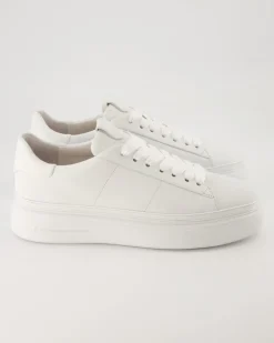 Elan Schnürschuhe in Weiß