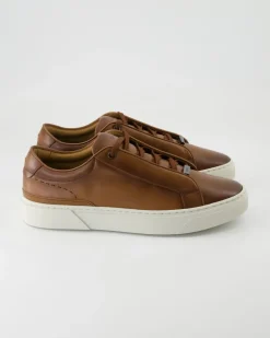 Gary_Tenn Sneaker in Braun