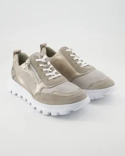 H-Ajala Schnürschuhe in Beige