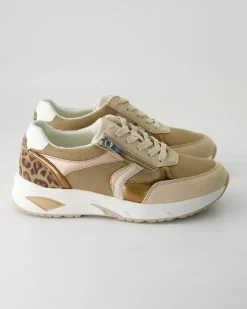 H-Jill Schnürschuhe in Beige