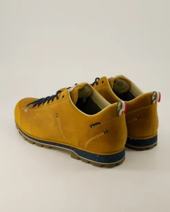 Low Fg Evo GTX Wanderschuhe in Braun