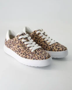 M7374044 Sneaker in Braun