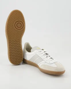Pulse Sneaker in Grau