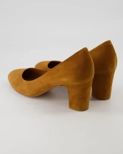 Robin Pumps in Braun