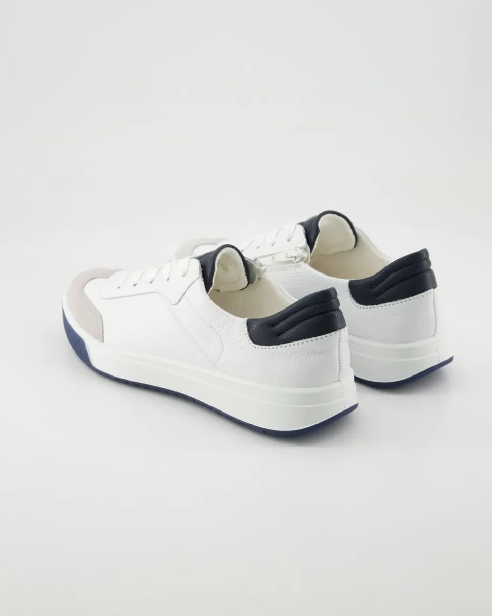 ROM Sneaker in Weiß