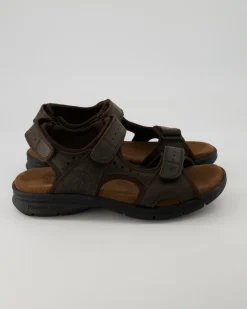 Salton Basics C1 Sandalen in Braun