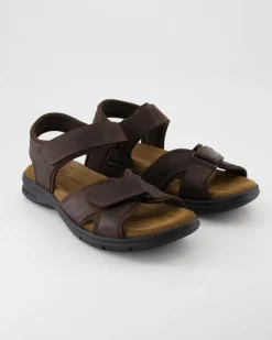 Sanders Basics C1 Sandalen in Braun