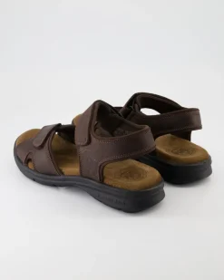 Sanders Basics C1 Sandalen in Braun