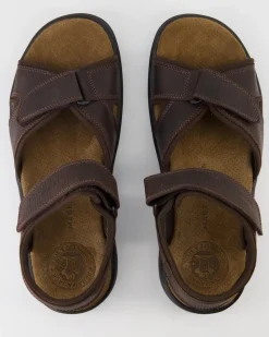 Sanders Basics C1 Sandalen in Braun
