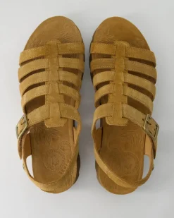 Sasha B2 Sandalen in Braun