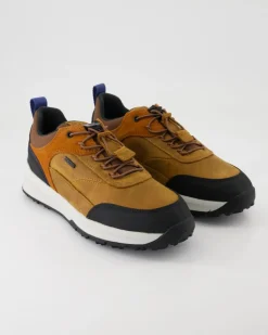 Sterratrail Sneaker in Braun