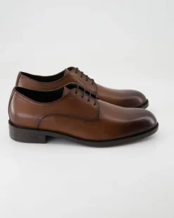 Tayil_Derb Schnürschuhe in Braun