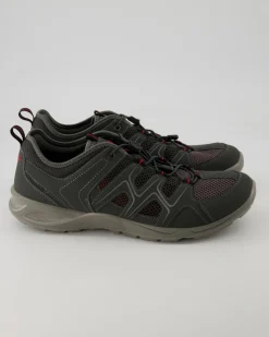 Terracruise LT M Wanderschuhe in Grau