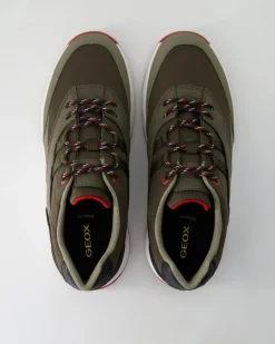 Terrestre Sneaker in Grün