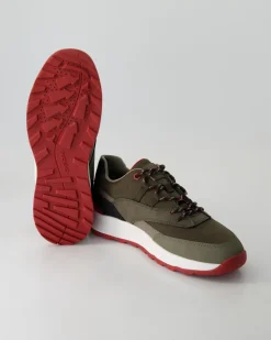 Terrestre Sneaker in Grün